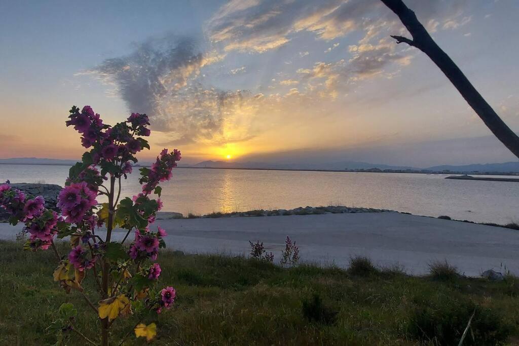 Sunsetmare Vacational Apartment Rosas Exteriör bild